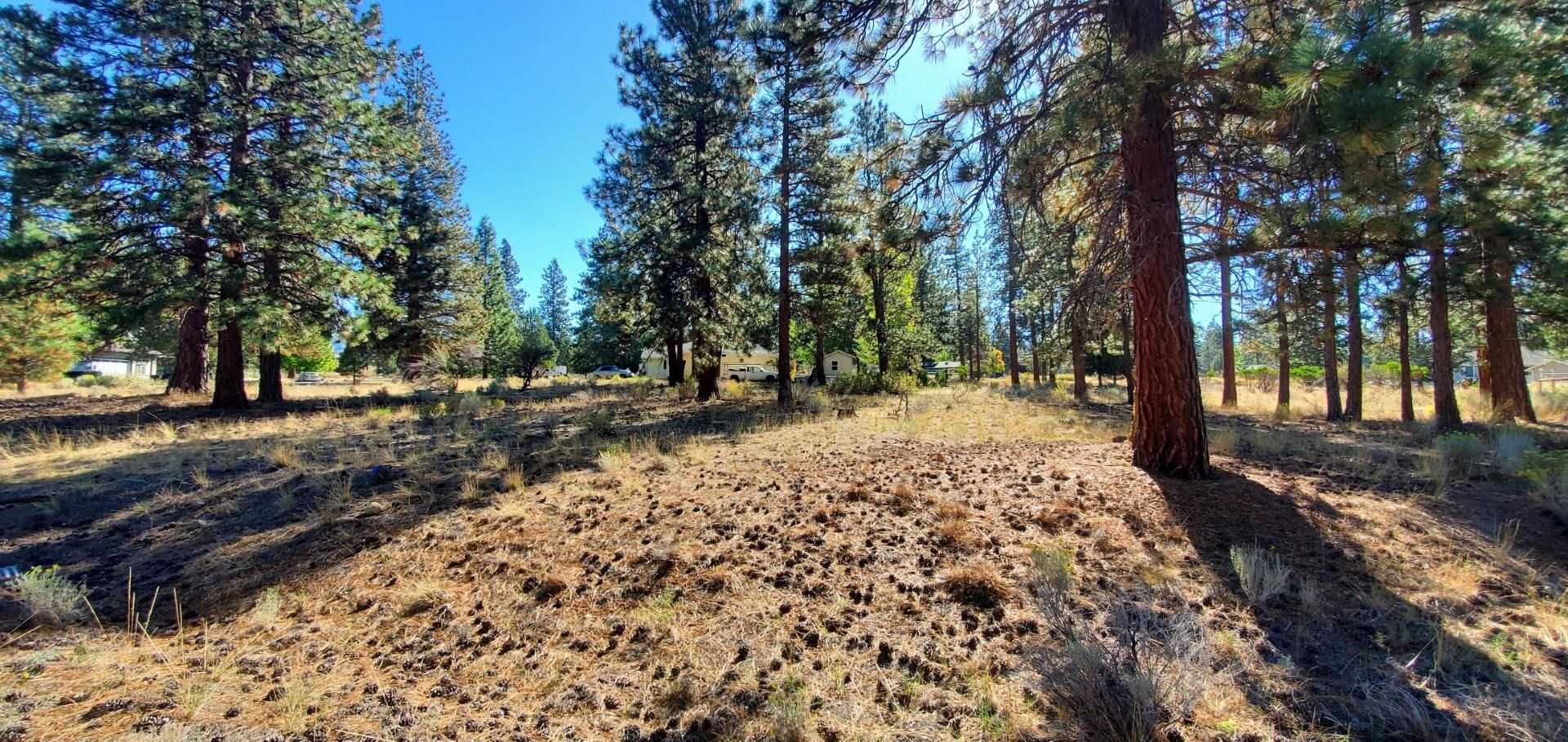 photo 3: Unt 7-1 Lot 127 Grizzly Way, Weed CA 96094