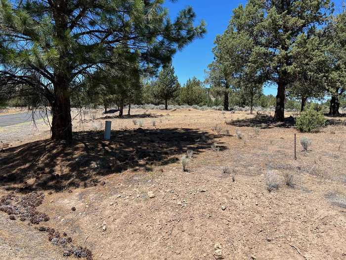 photo 1: 9-1 Lot 180 Shadyridge Rd, Weed CA 96094