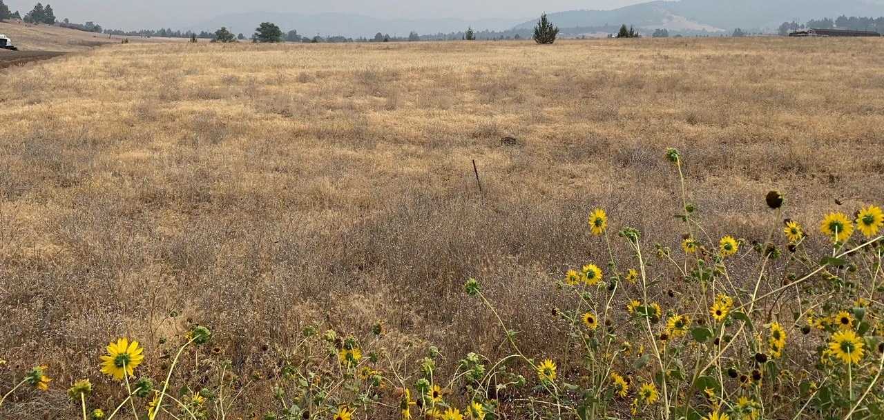 photo 1: Unit 5 Lot 63 Desavado Road, Montague CA 96064