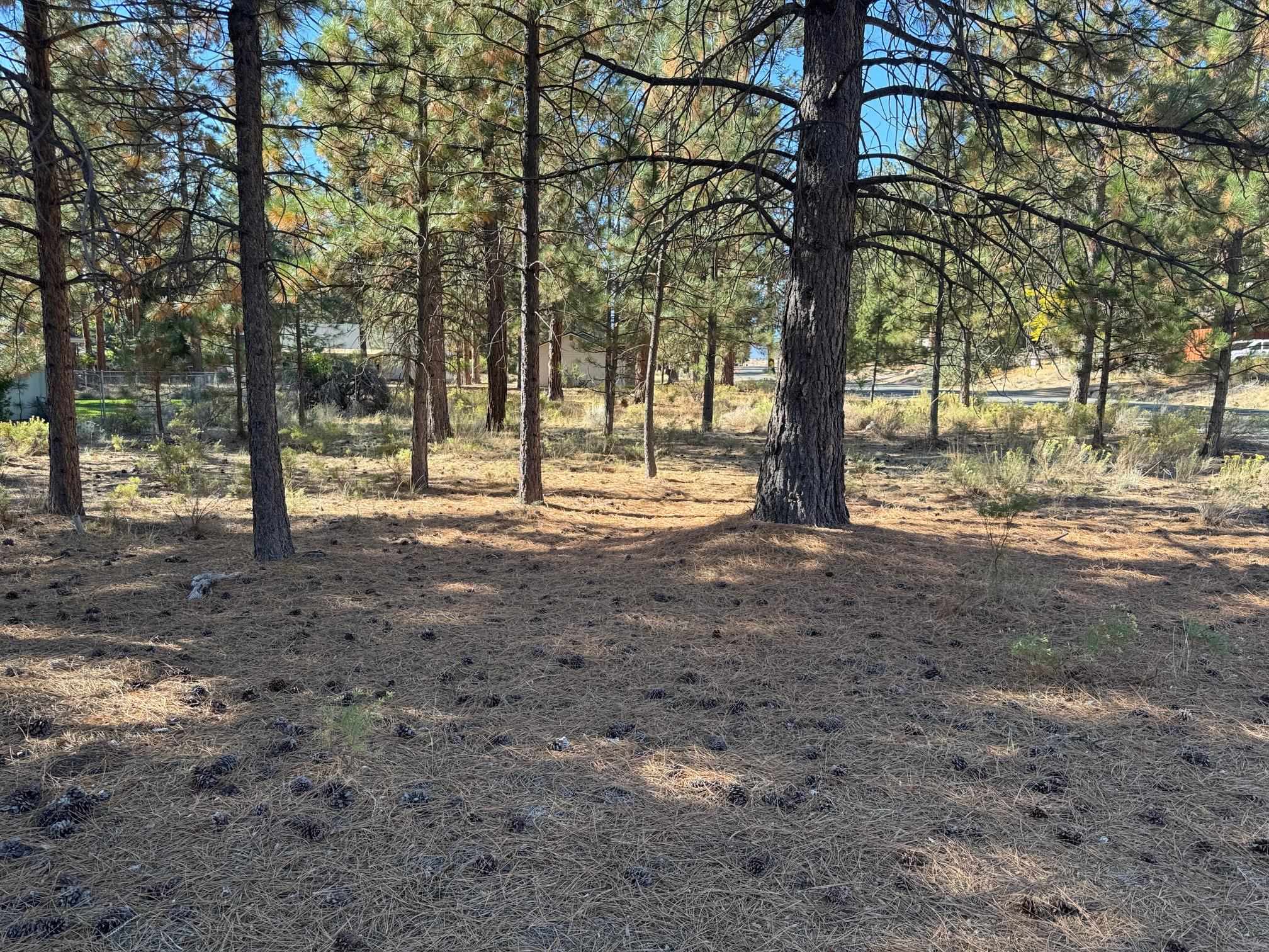 photo 1: Unit 5-3 Lot 46 Brown Ct, Weed CA 96094