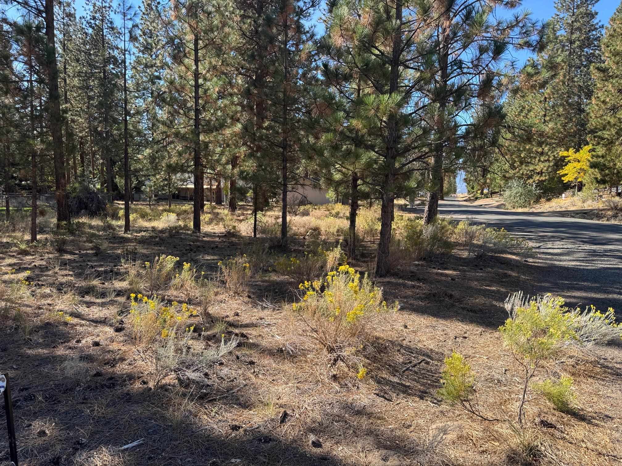 photo 2: Unit 5-3 Lot 46 Brown Ct, Weed CA 96094