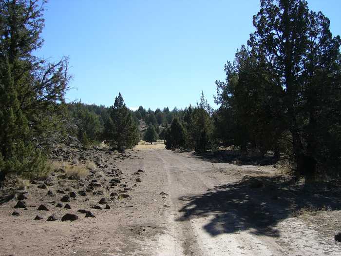 photo 1: 10 acres South Off Homeland Rd, MacDoel CA 96058