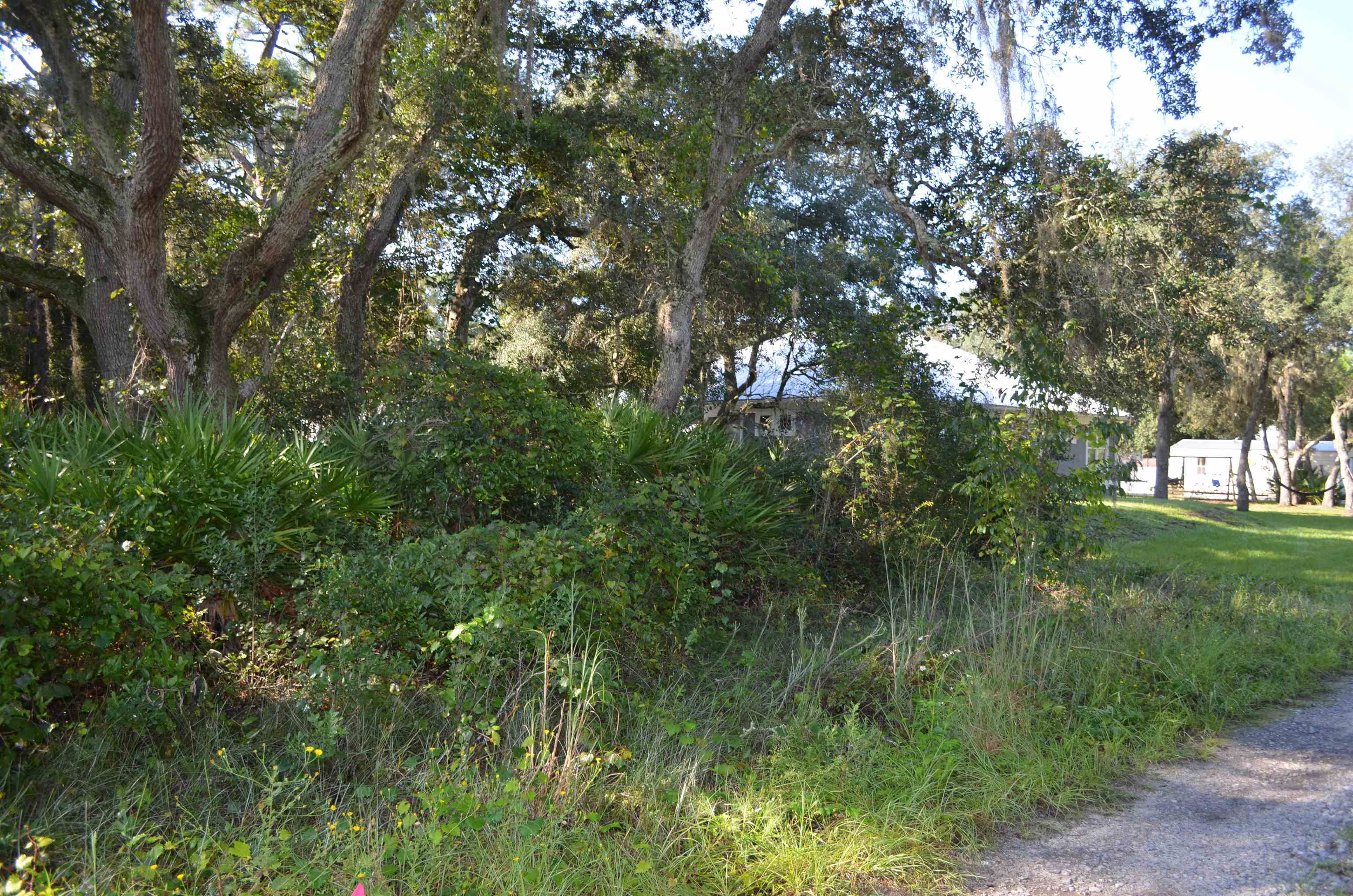 photo 3: 3RD St, Elkton FL 32033