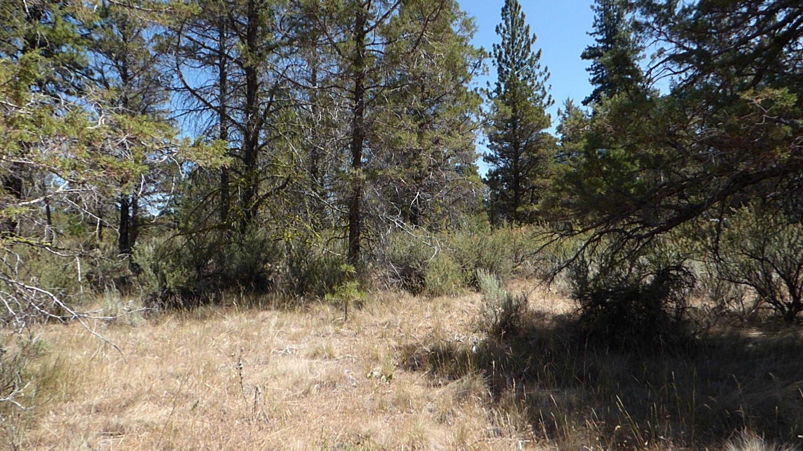 photo 2: Widow Valley Rd, Lookout CA 96054