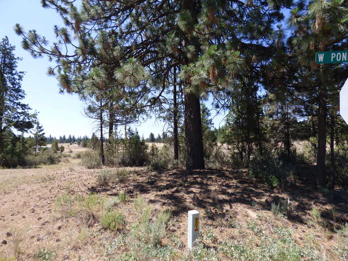 photo 1: W Ponderosa Dr, Lookout CA 96054