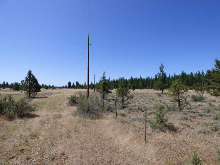 photo 2: W Ponderosa Dr, Lookout CA 96054