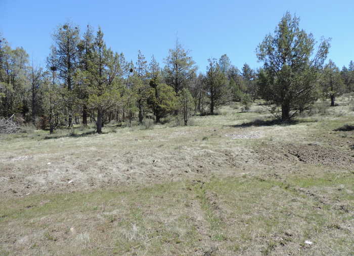 photo 1: Lot 48 Natchez Court, Fall River Mills CA 96028