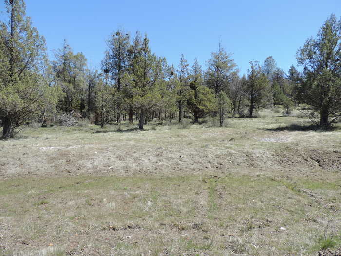 photo 18: Lot 48 Natchez Court, Fall River Mills CA 96028