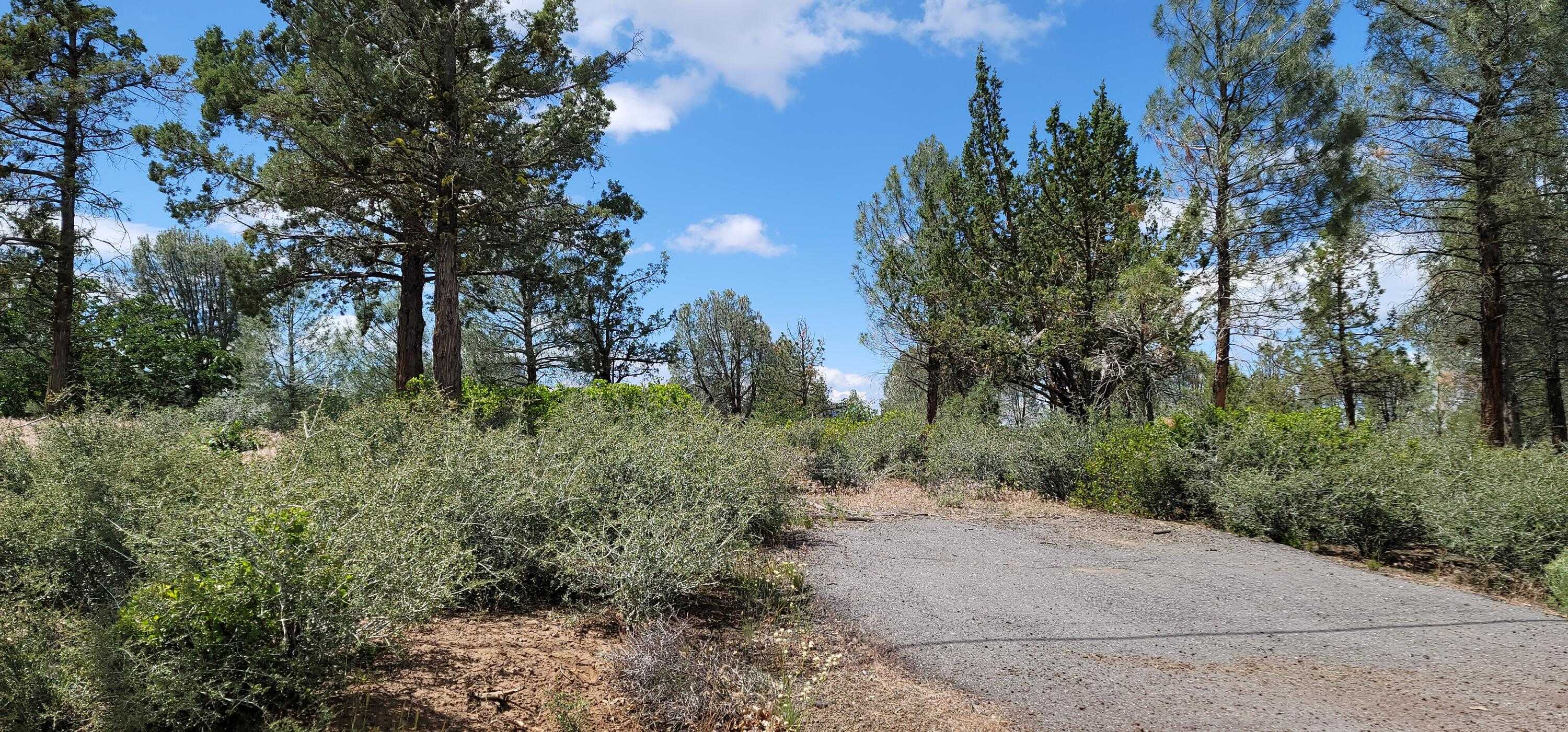 photo 1: Lot 11 Cassel Fall River Road, Fall River Mills CA 96028