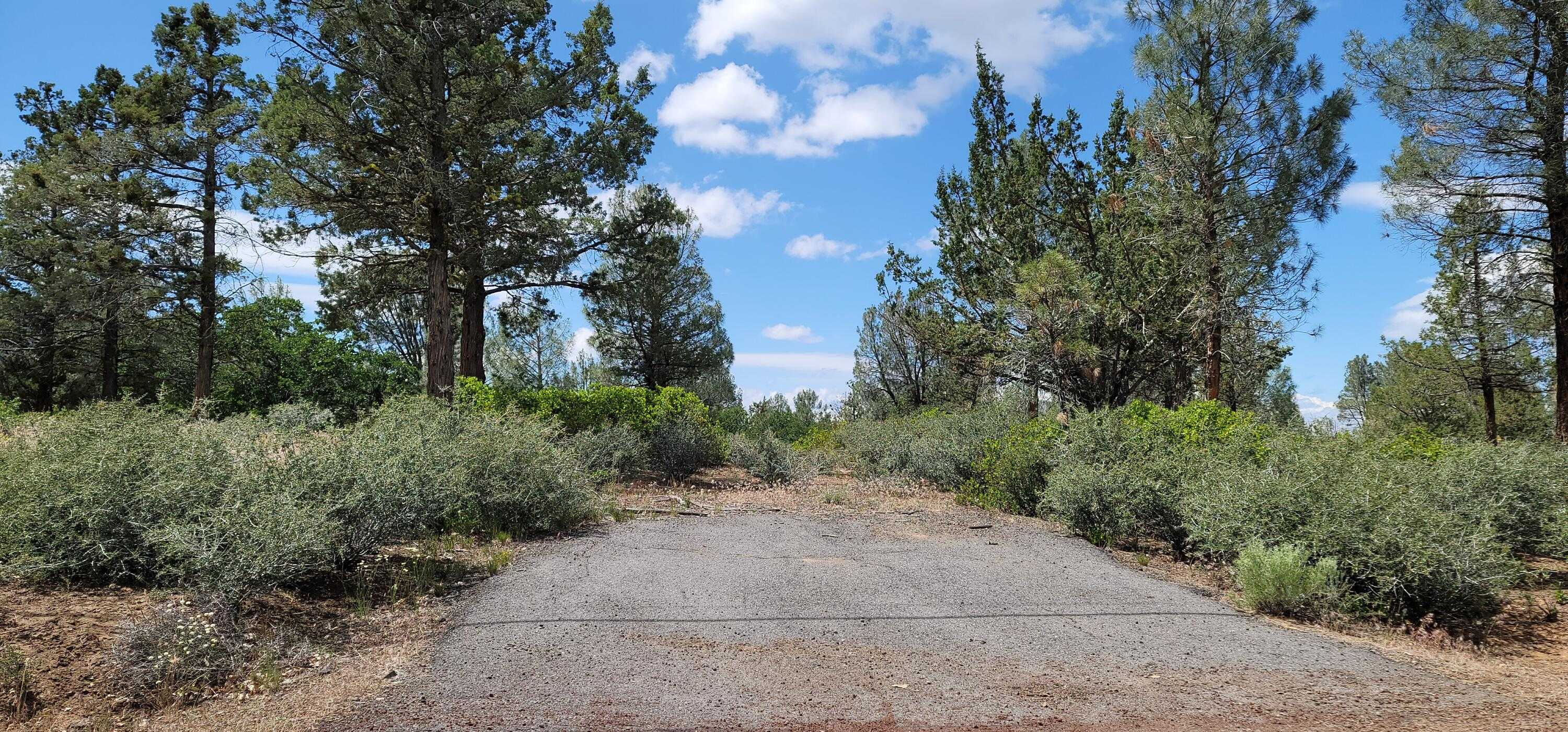 photo 2: Lot 11 Cassel Fall River Road, Fall River Mills CA 96028