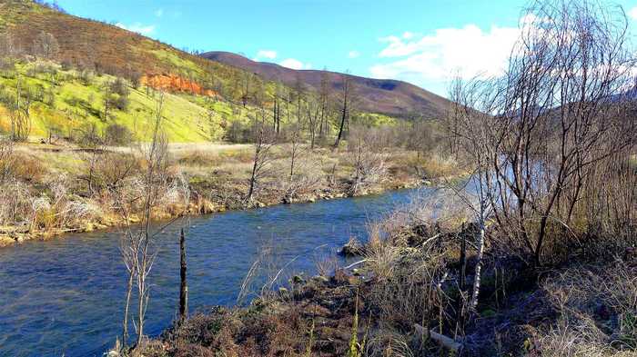 photo 2: 398+-Acres Trinity Mountain Rd, French Gulch CA 96033