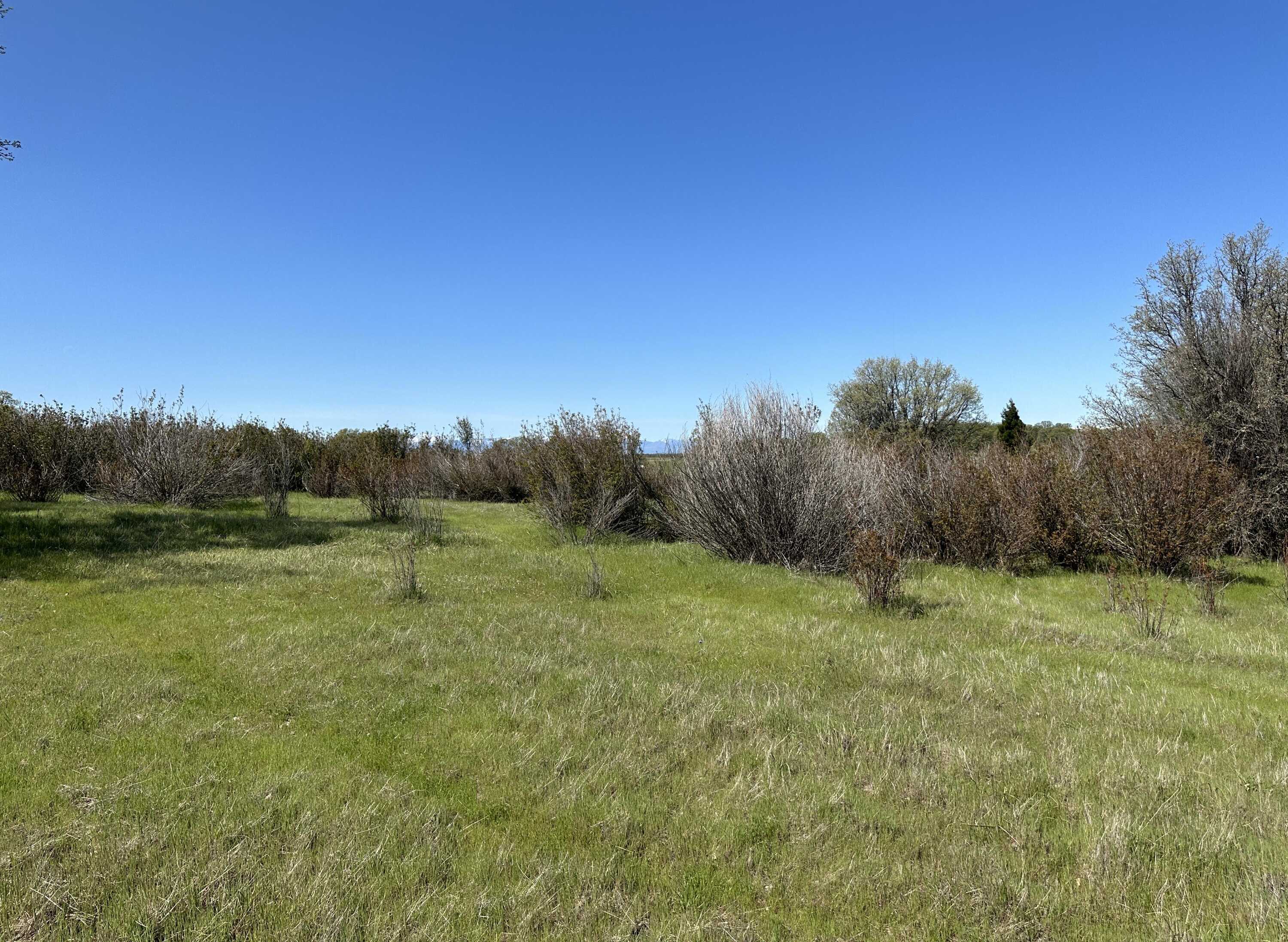 photo 3: Lot 1 Sunset Hills Drive, Cottonwood CA 96022