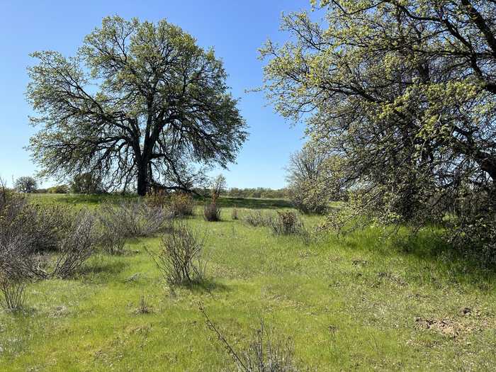 photo 6: Lot 1 Sunset Hills Dr., Cottonwood CA 96022