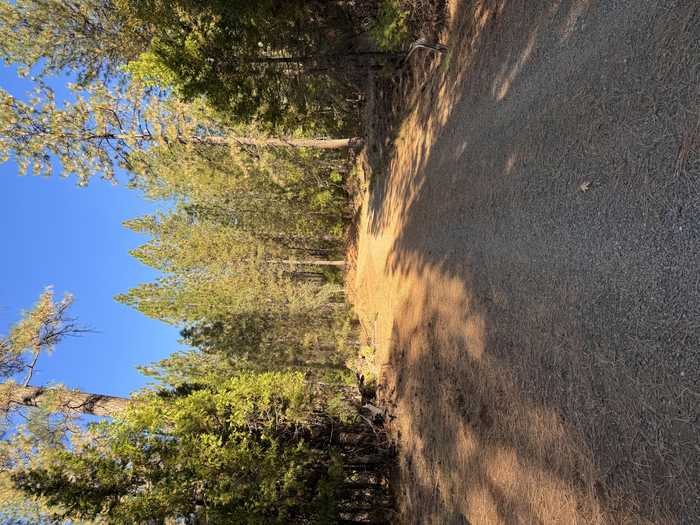 photo 1: Big Springs Rd., Oak Run CA 96069