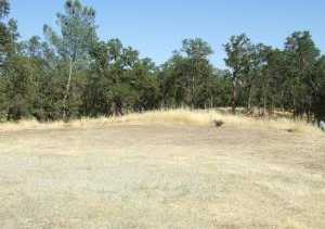 photo 3: Oak Run Rd, Millville CA 96062