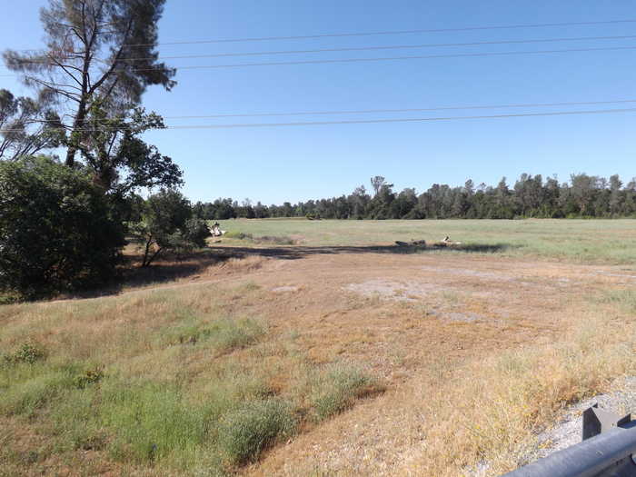 photo 2: Lot1 Unit 2, Ph 2  Stillwater, Redding CA 96003