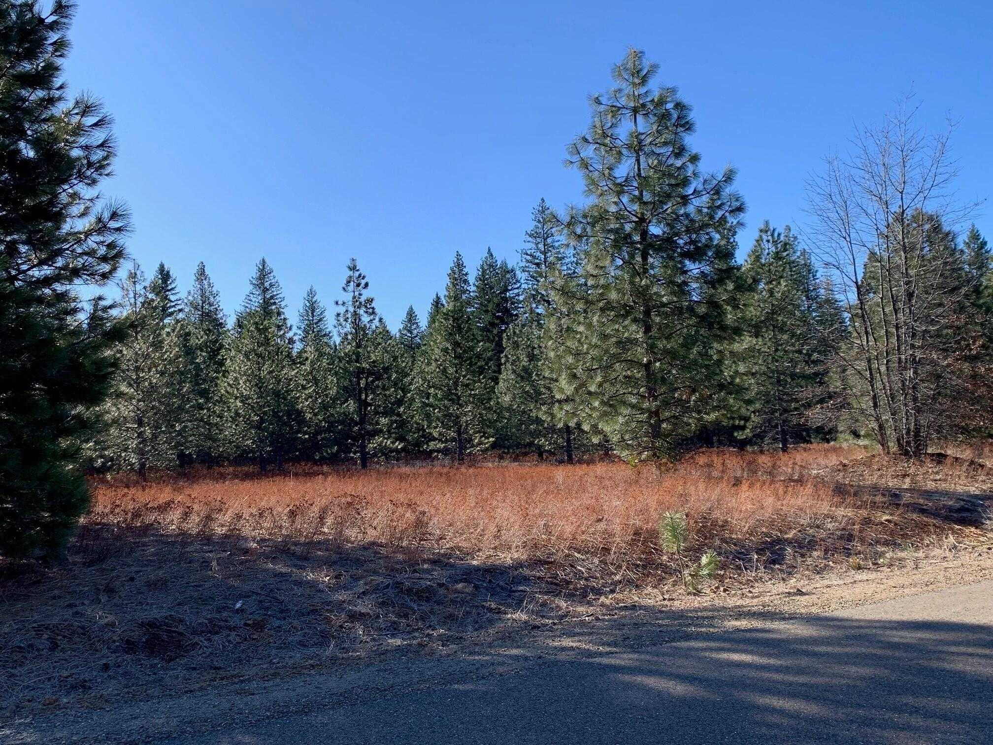 photo 1: Lot 34 Princess Pine, Shingletown CA 96088