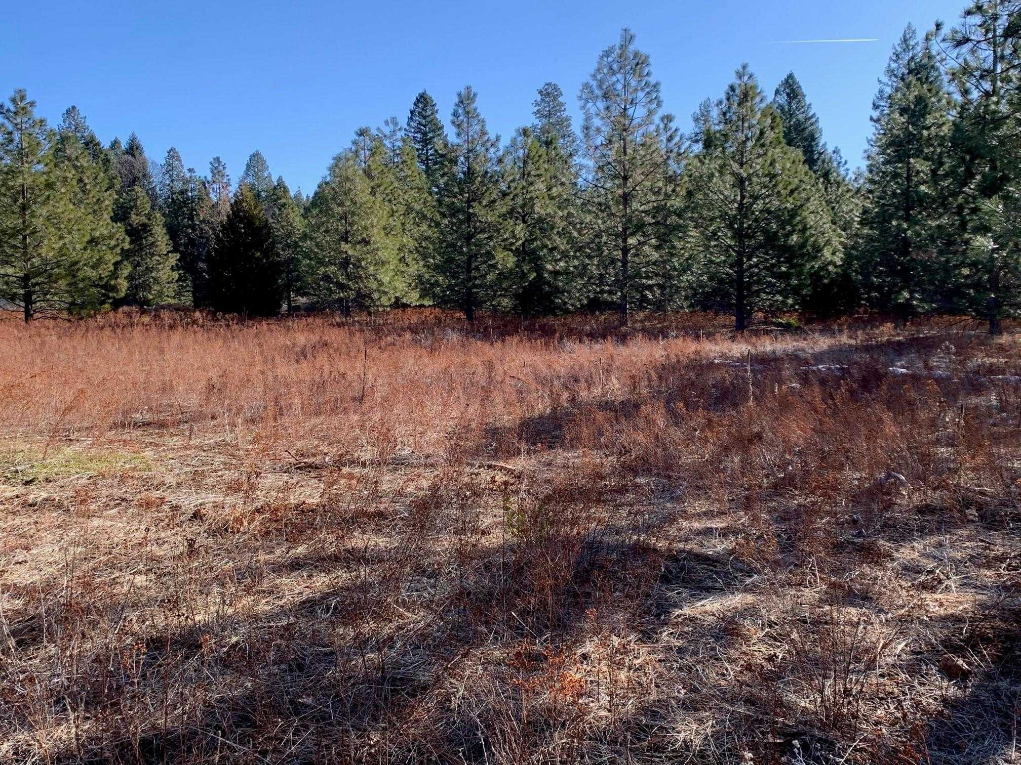 photo 2: Lot 34 Princess Pine, Shingletown CA 96088