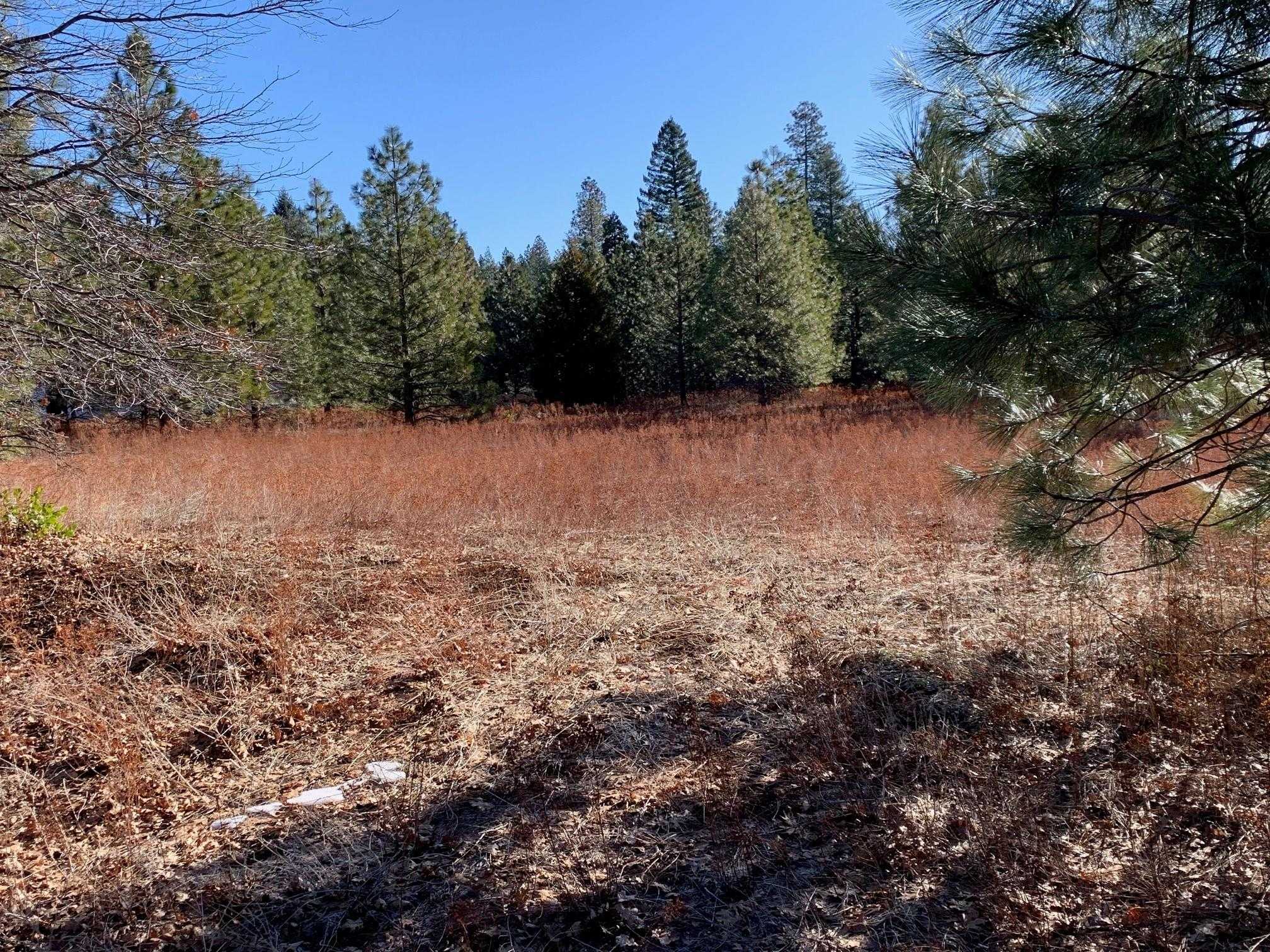 photo 3: Lot 34 Princess Pine, Shingletown CA 96088