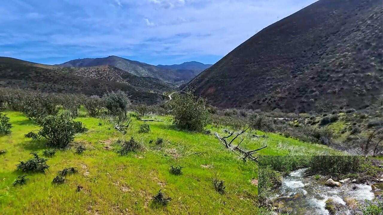 photo 1: 635 Acres French Gulch Road, French Gulch CA 96033