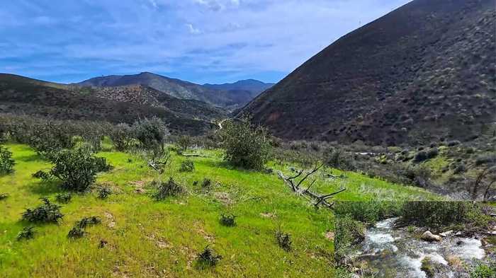 photo 1: 635 Acres French Gulch Road, French Gulch CA 96033