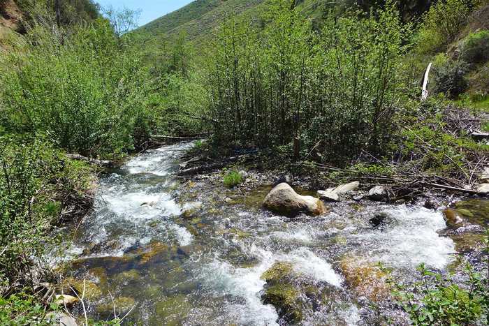 photo 2: 635 Acres French Gulch Rd, French Gulch CA 96033