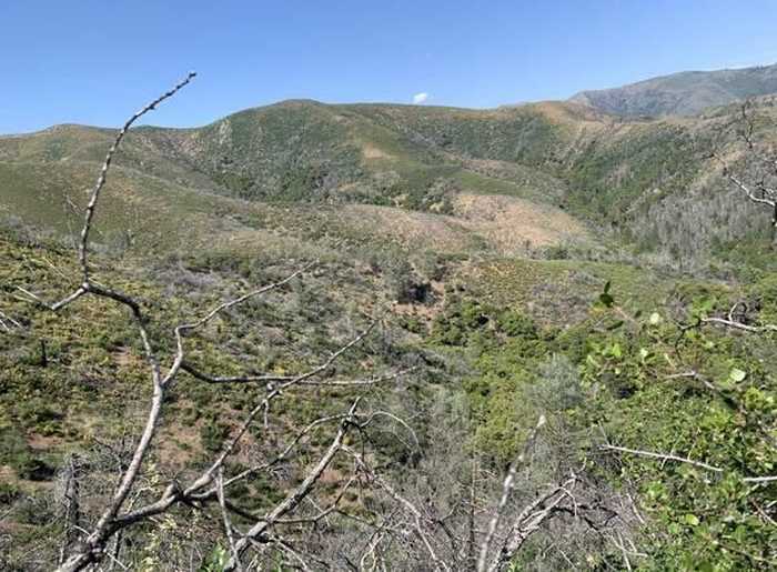 photo 1: Merry Mountain Road, French Gulch CA 96033