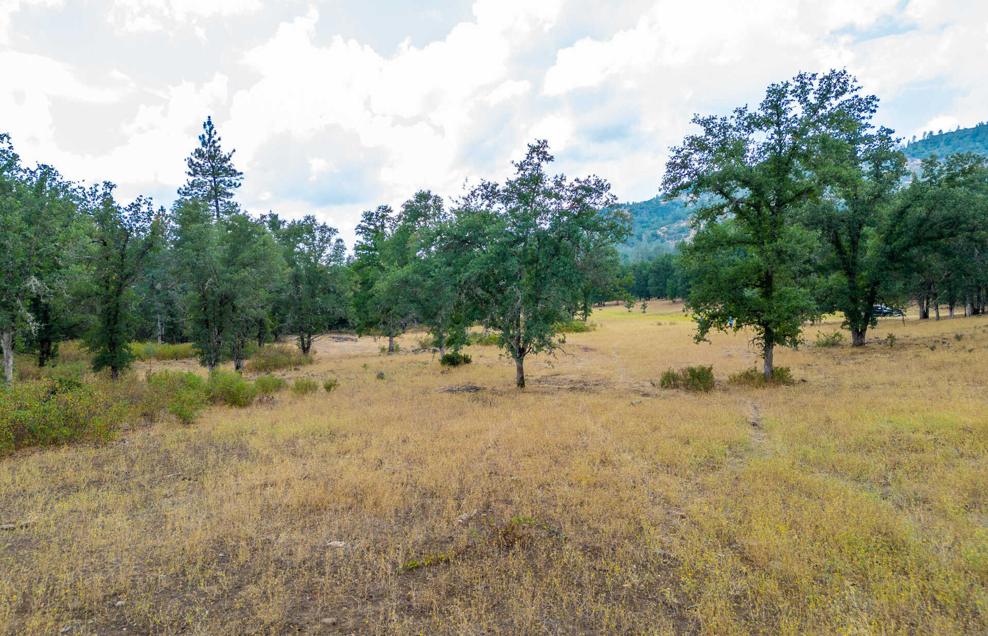 photo 2: Ponderosa Way-198 Acres, Shingletown CA 96088