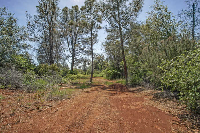 photo 2: Colley Lane, Shingletown CA 96088