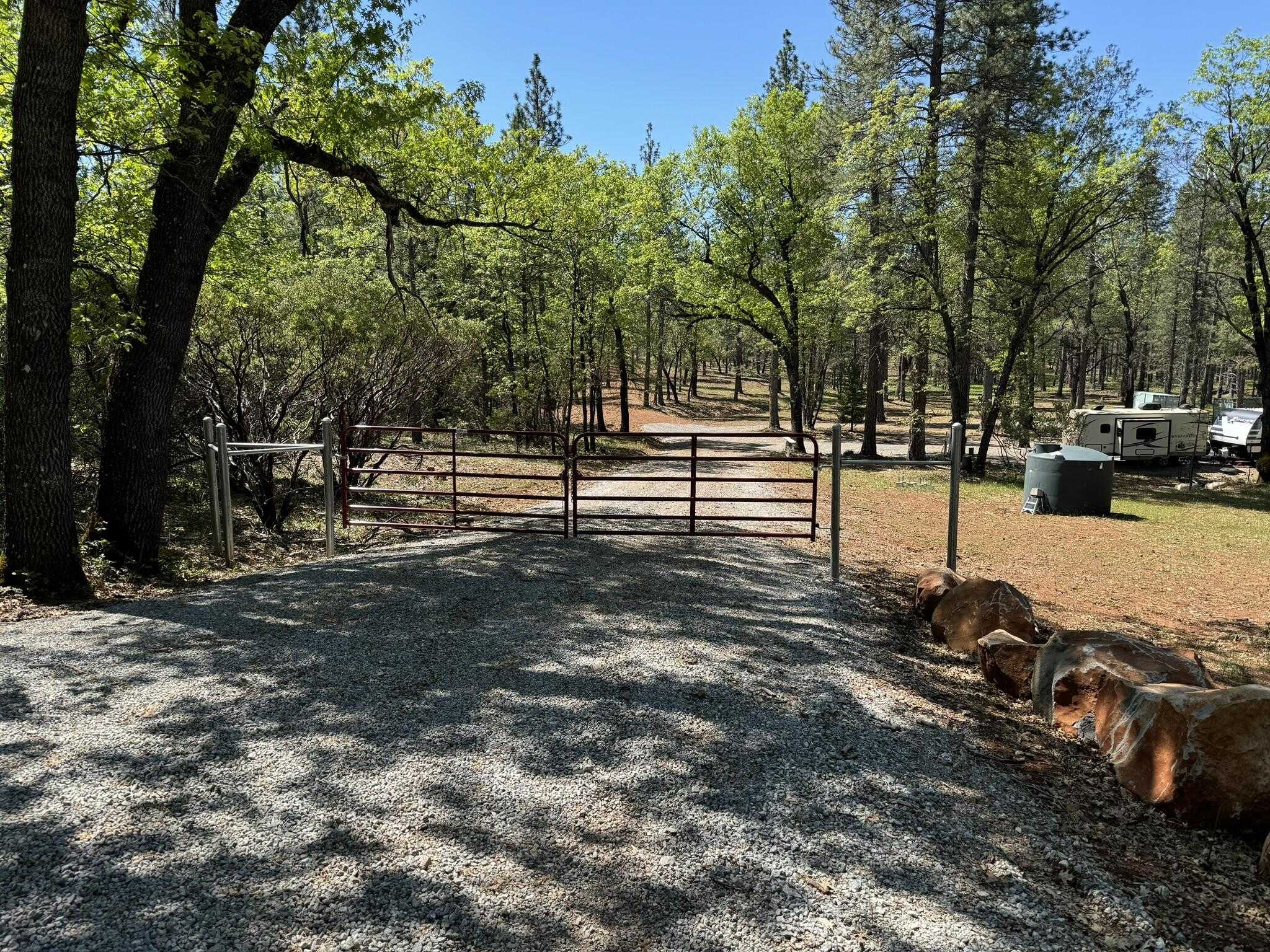 photo 1: Smiling Ranch Rd., Whitmore CA 96096