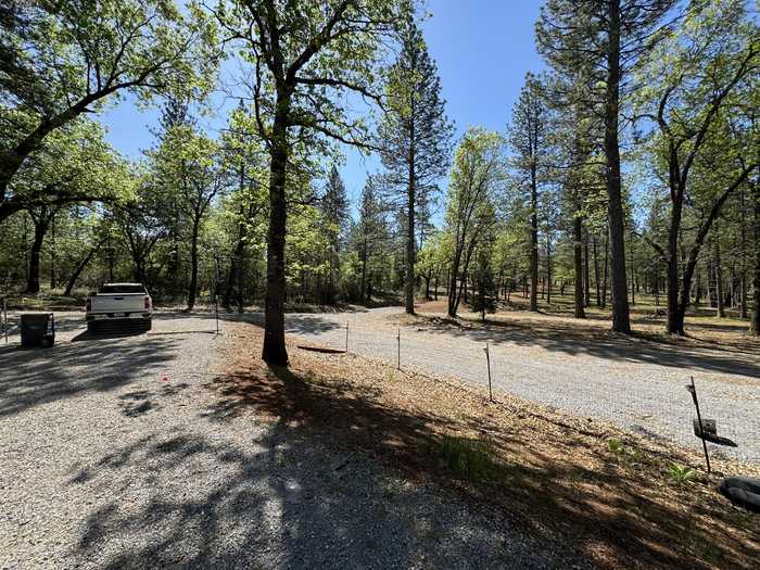 photo 16: Smiling Ranch Rd., Whitmore CA 96096