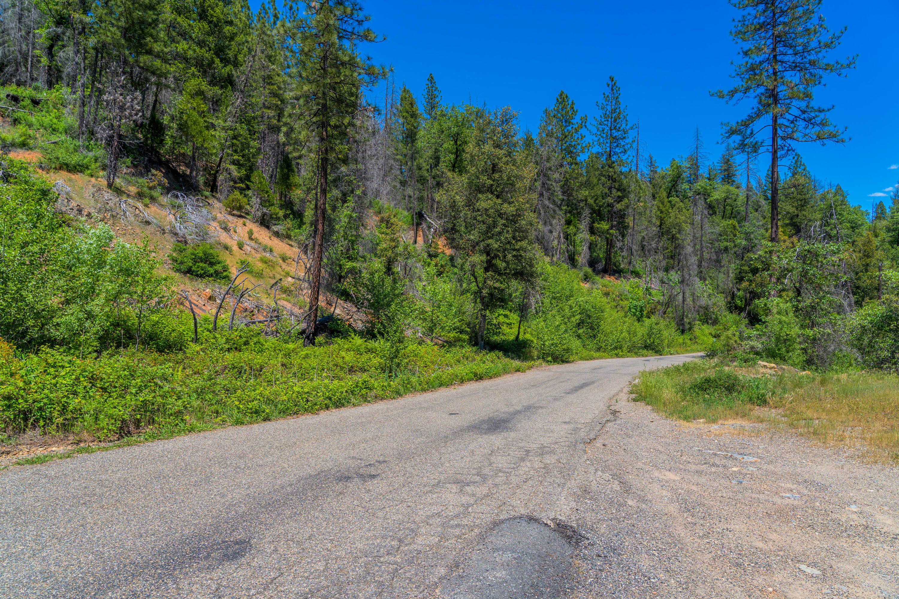 photo 2: Dog Creek Rd, Lakehead CA 96051