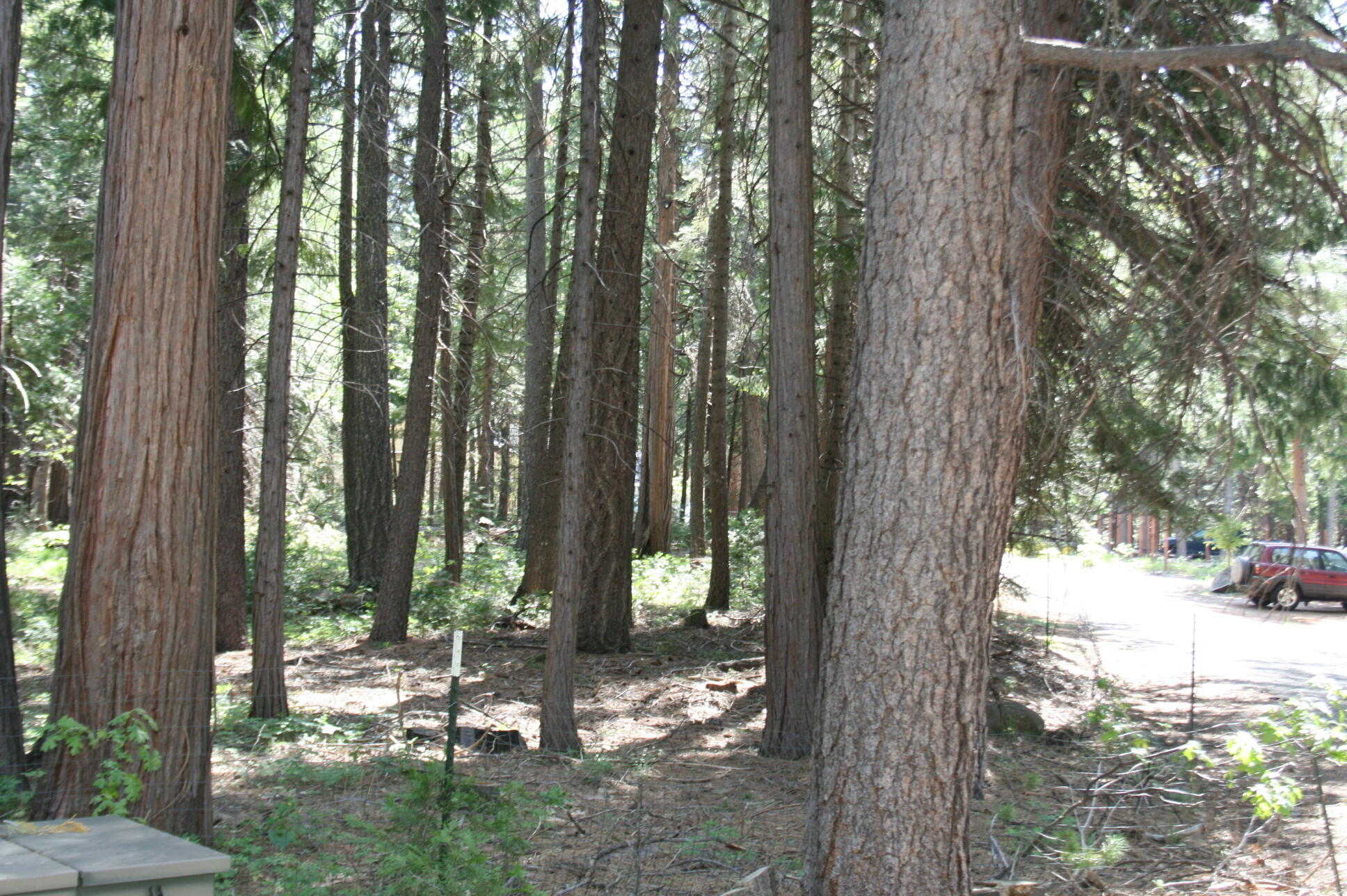 photo 1: Lot 61 Starlite Pines Rd, Shingletown CA 96088