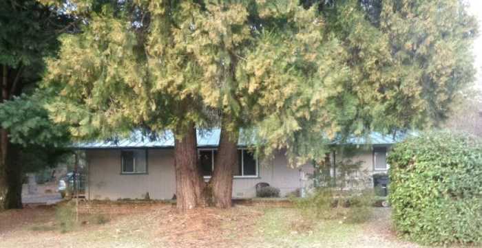 photo 2: 20450 Lakeview Drive, Lakehead CA 96051