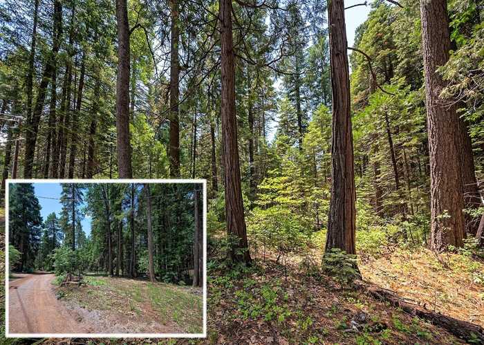 photo 1: Lot 43 Cedar Crest Rd., Shingletown CA 96088