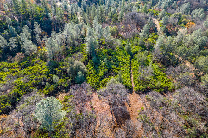 photo 2: Seaman Gulch Rd, Bella Vista CA 96008