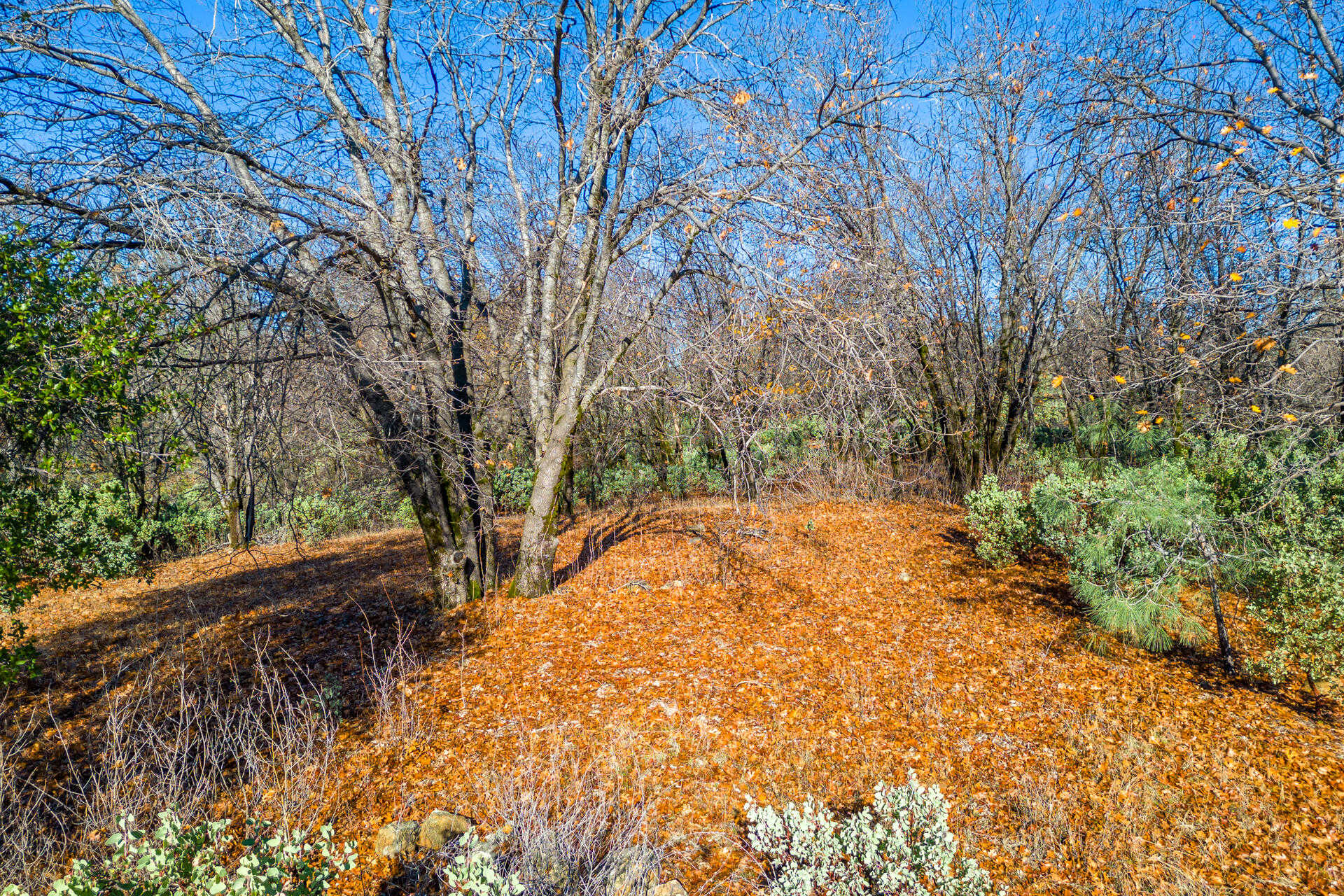 photo 3: Seaman Gulch Rd, Bella Vista CA 96008