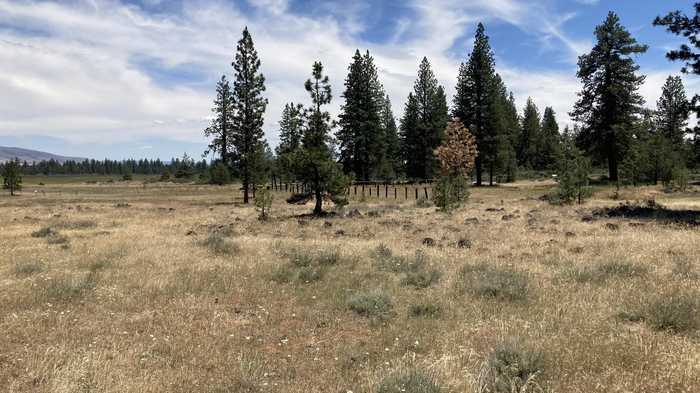 photo 12: Lot 22 North Ponderosa Drive, Lookout CA 96054