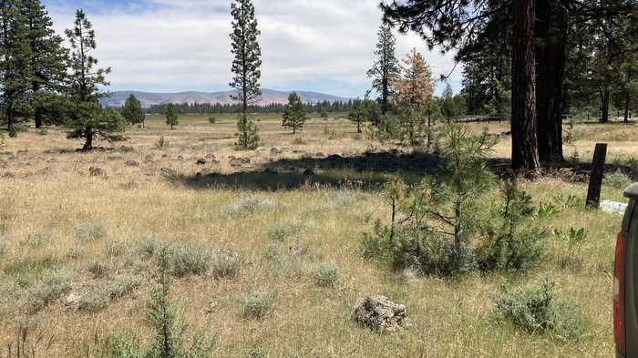 photo 2: Lot 22 North Ponderosa Drive, Lookout CA 96054