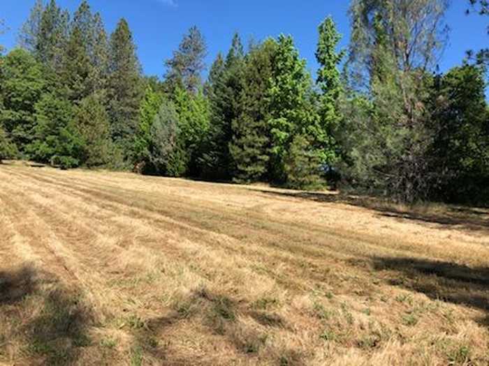 photo 2: .54 acres Lakeview Dr., Lakehead CA 96051