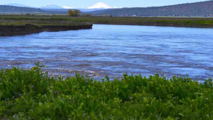 photo 2: Punkin Center Road, Bieber CA 96009