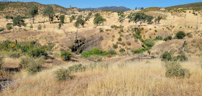 photo 38: Lot 126 Bigfoot Rd, Ono CA 96047