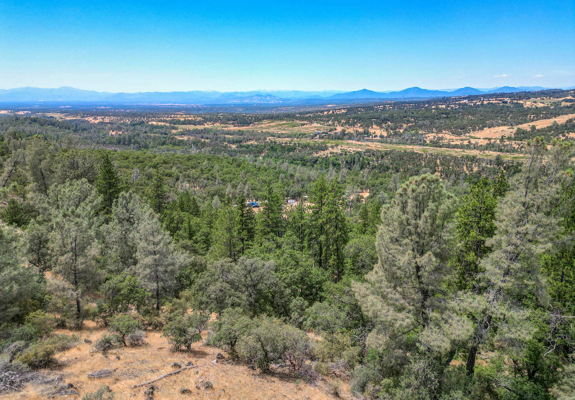 photo 3: 80 Acres Hidden Springs ln, Whitmore CA 96096