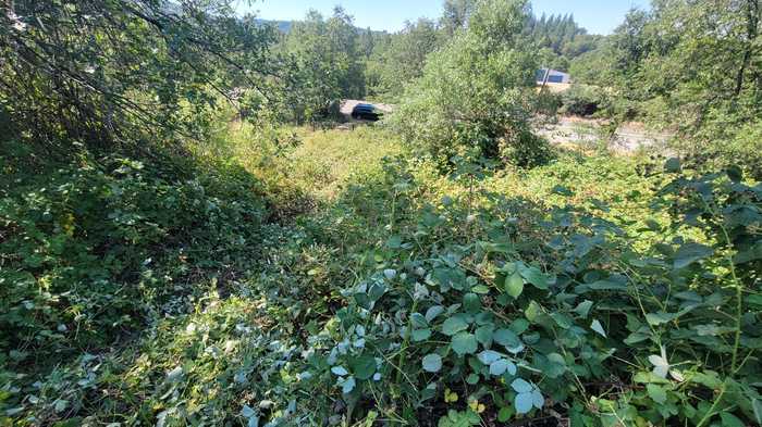 photo 19: Lot 3 Hwy 299E, Round Mountain CA 96084