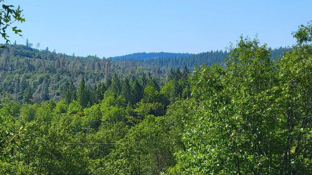 photo 2: Lot 3 Hwy 299E, Round Mountain CA 96084