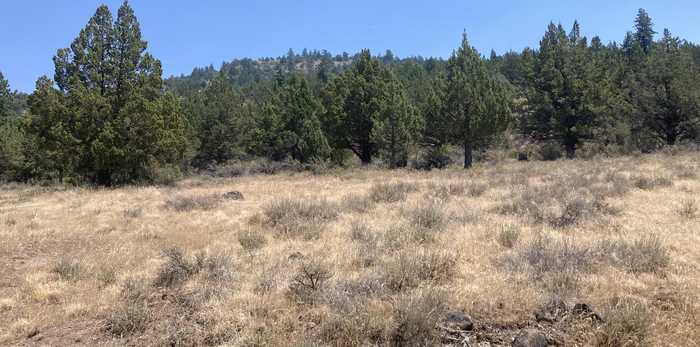 photo 1: Lot 73 Prouty Way, Adin CA 96006