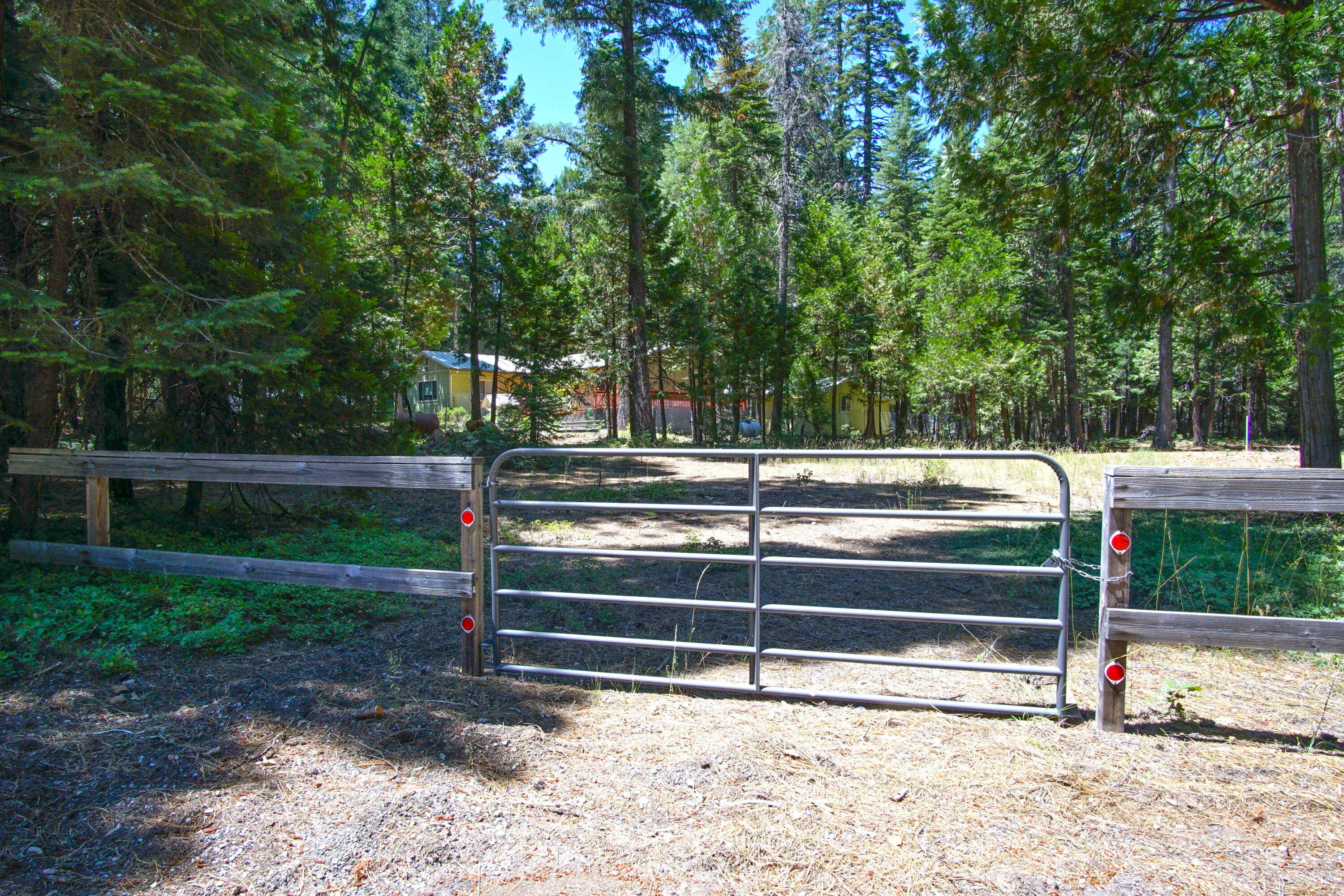 photo 3: 8263 Starlite Pines Rd, Shingletown CA 96088