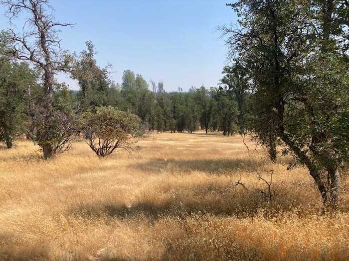 photo 2: 6.7 acres Two Feathers Rd, Cottonwood CA 96022