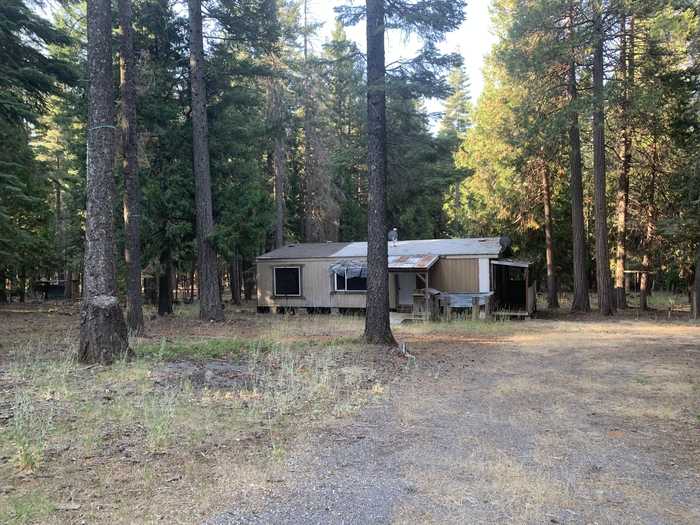 photo 1: 34791 Big Trees Ln, Shingletown CA 96088