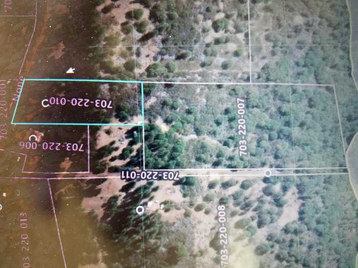 photo 15: Lot 7 & 10 Rock Creek Road, Manton CA 96059